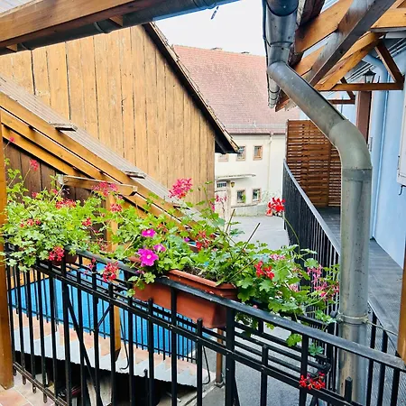 Apartment Cosy Haut-koenigsbourg Ville (Bas-Rhin)