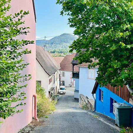 Cosy Haut-koenigsbourg Apartment