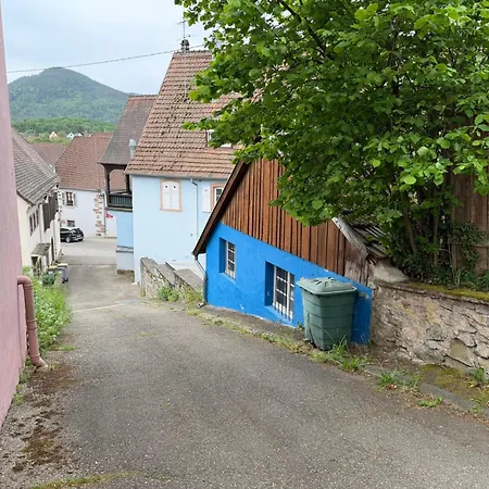 Cosy Haut-koenigsbourg