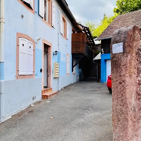 Apartment Cosy Haut-koenigsbourg Ville (Bas-Rhin)