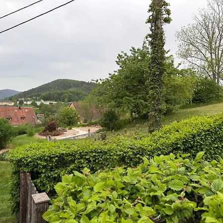 Cosy Haut-koenigsbourg *
